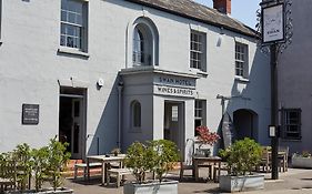 The Swan